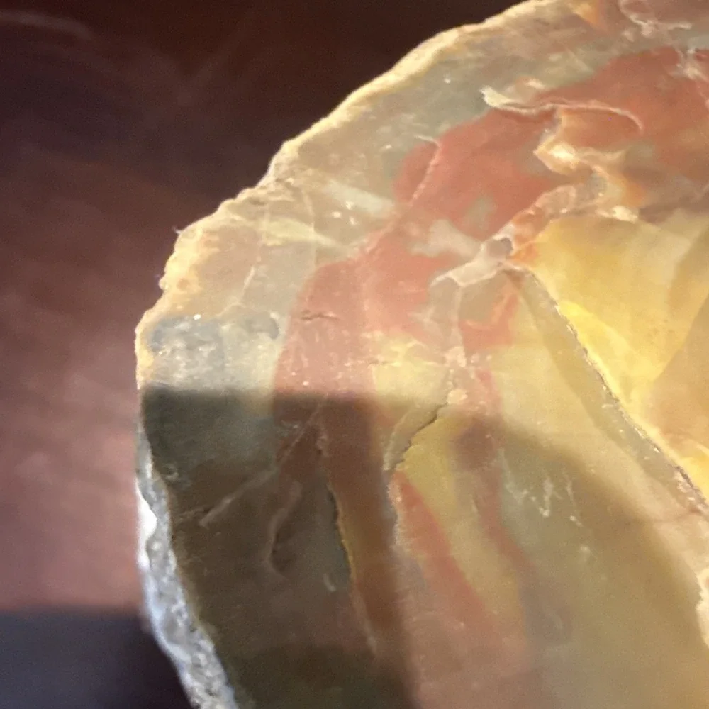 2.1 LB Agatized Petrified Wood Log Fossil Polished Ends Natural Bark Specimen